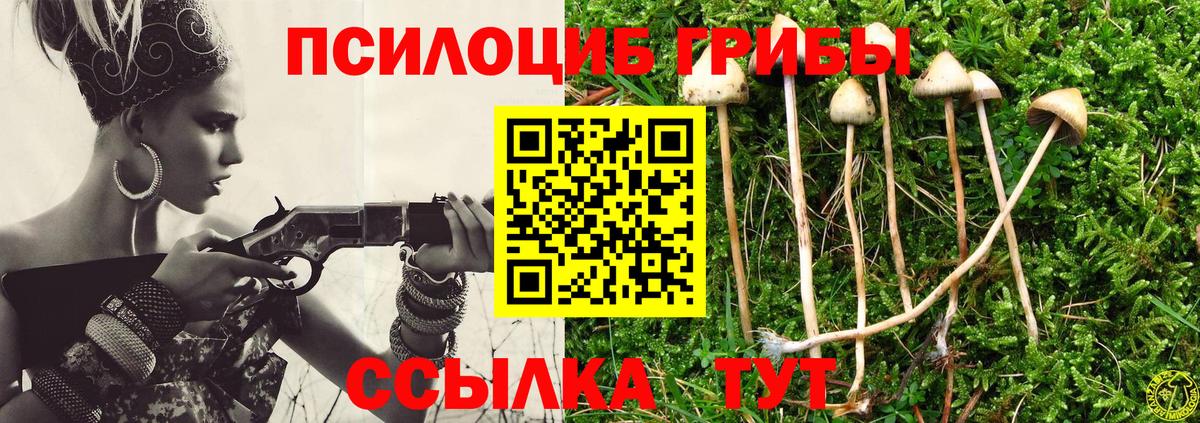 Псилоцибиновые грибы мицелий Мурино